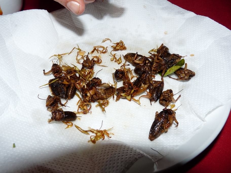 Egyik fogás az étlapról