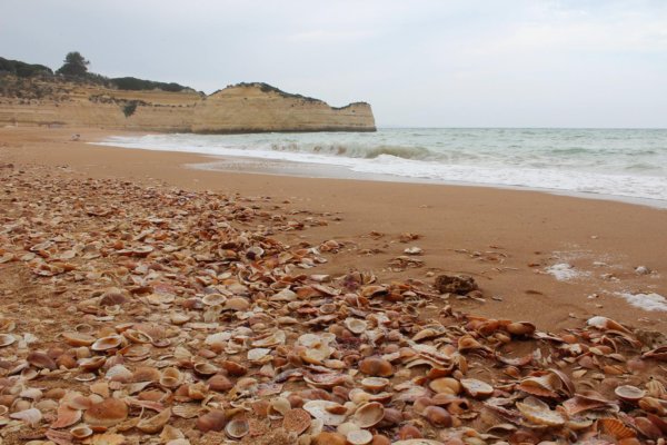 algarve praia da cova redonda