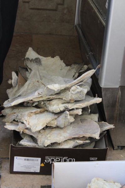 bacalhau2
