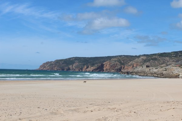 guincho (2)
