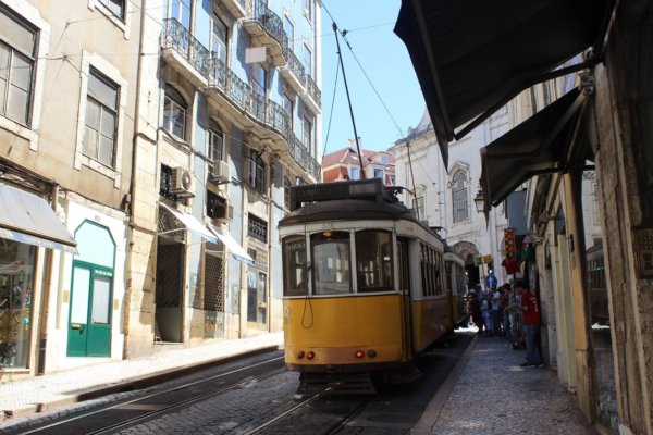 13661878_841326269335363_1271816782306785717_o