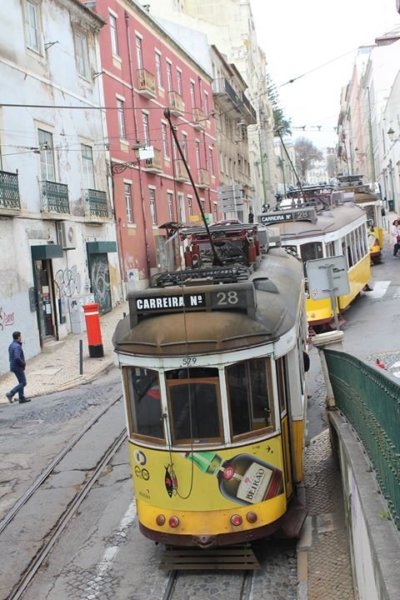 17038649_985553614912627_3660823427109473958_o