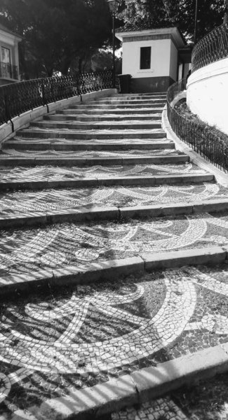 18814105_1049835815151073_22673436894130509_n